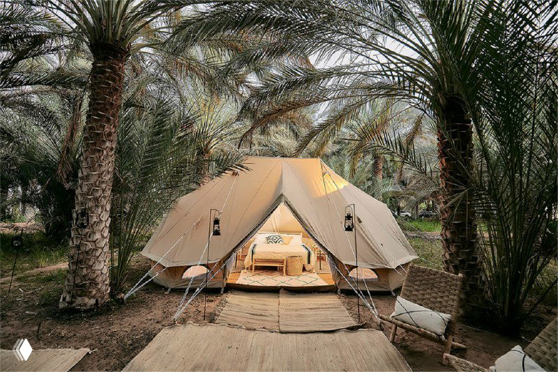 Большая палатка для глэмпинга среди пальм; аккуратно расставленные стулья и дорожка к входу создают атмосферу отдыха.