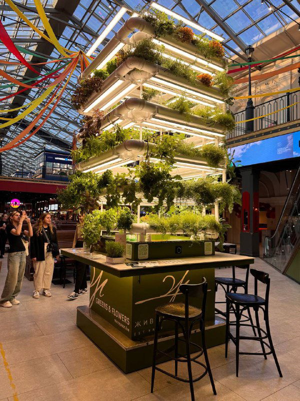 Флеш идея — продакт плейсмент в фуд-молле