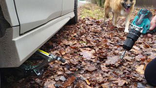 Рука с шуруповёртом и переходником вращает штатный домкрат под приподнятой машиной; вокруг осенняя листва, рядом собака.