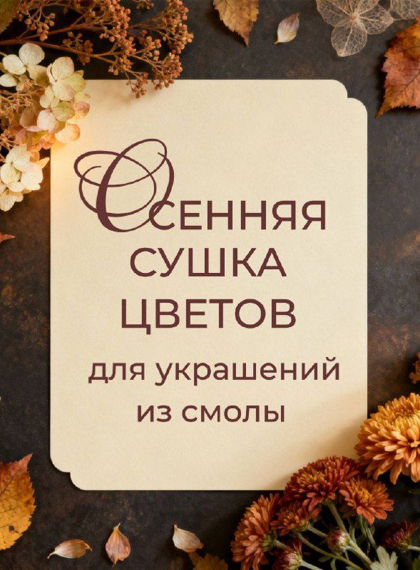 Осенний список: что собирать для сушки и смолы