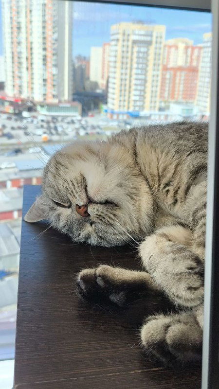 Менеджер маркетплейса — встреча 15 мая