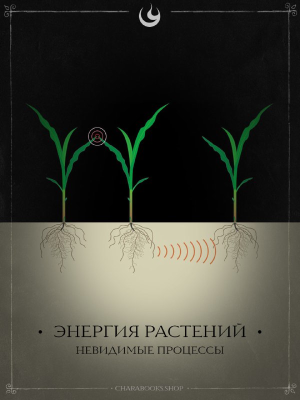 Энергия растений и электрические сигналы