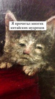 Изображение картины с котом и наложенной текстовой табличкой «Я прочитал многих китайских мудрецов» — сатирический мем о литературных впечатлениях.