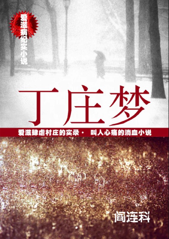 Китайское издание 丁庄梦: бело‑красная обложка с иероглифами и размытым силуэтом вверху, внизу — композиция из точек или толпы.
