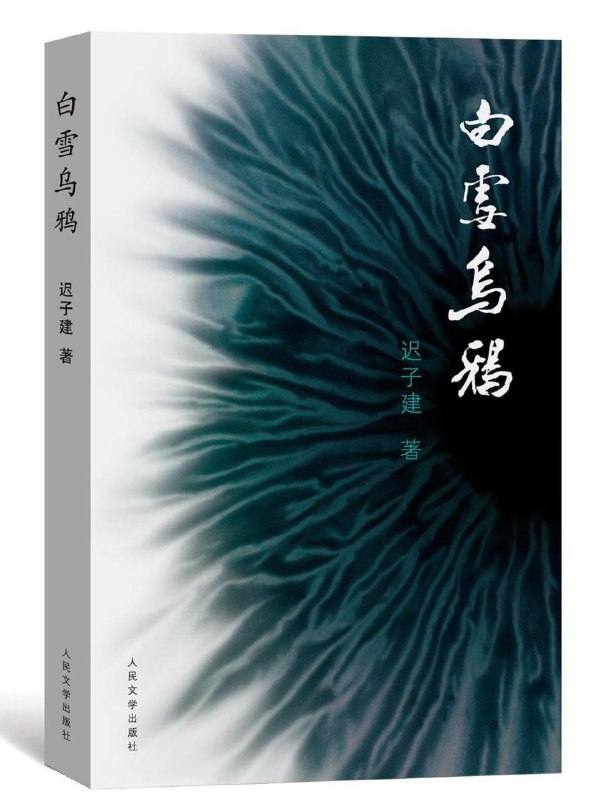 Китайское издание романа Чи Цзыцзян «白雪乌鸦»: абстрактный тёмно‑синий/зелёный вихревой узор на обложке, художественный минимализм, передняя сторона книги.