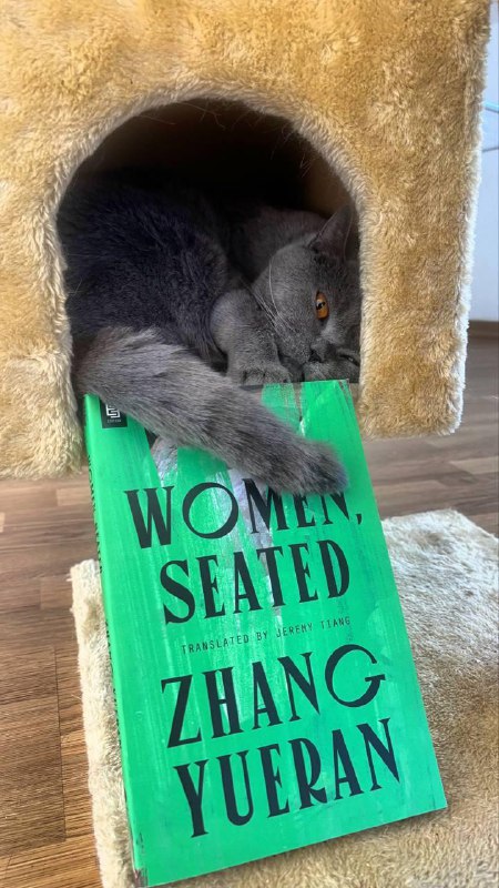 Women, Seated — Чжан Юэжань: впечатления