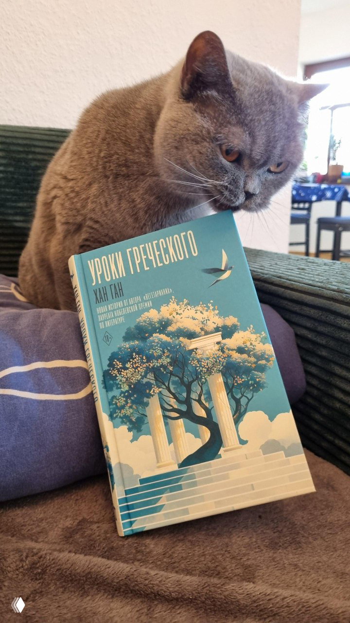 Хан Ган — «Уроки греческого»