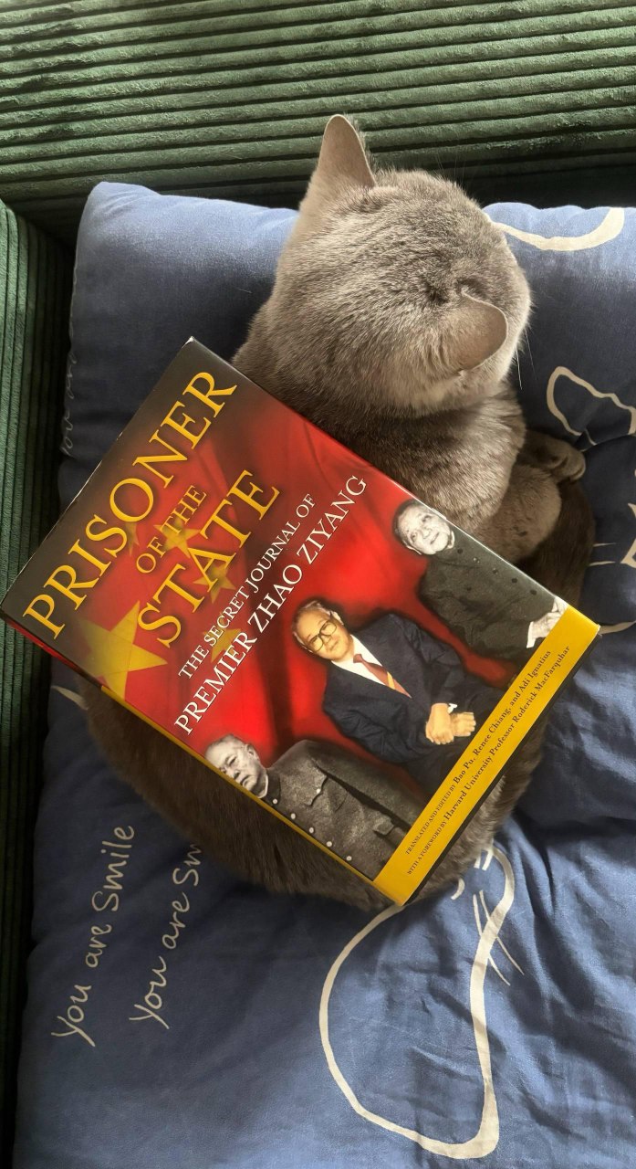 Крупный план: книга «Prisoner of the State» лежит на спине серого кота на диване; обложка с изображением китайских политиков читается отчетливо.