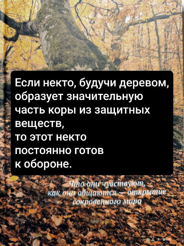 Обложка книги с текстом о защитных веществах коры, чёрный текстовый блок на фоне коры и листьев; иллюстрация отношения дерева к среде.