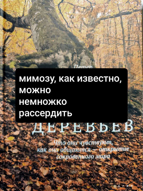 Кадр обложки книги с чёрным текстовым блоком: цитата про мимозу и её реакцию, на фоне — осенний лес и корявая текстура ствола.
