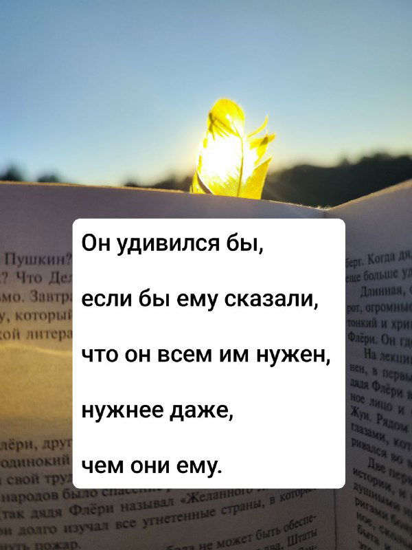 Крупный план страницы книги и яркий лист, освещённый солнцем; на снимке заметны текстовые вставки-цитаты, создающие эффект оракула для читателя.