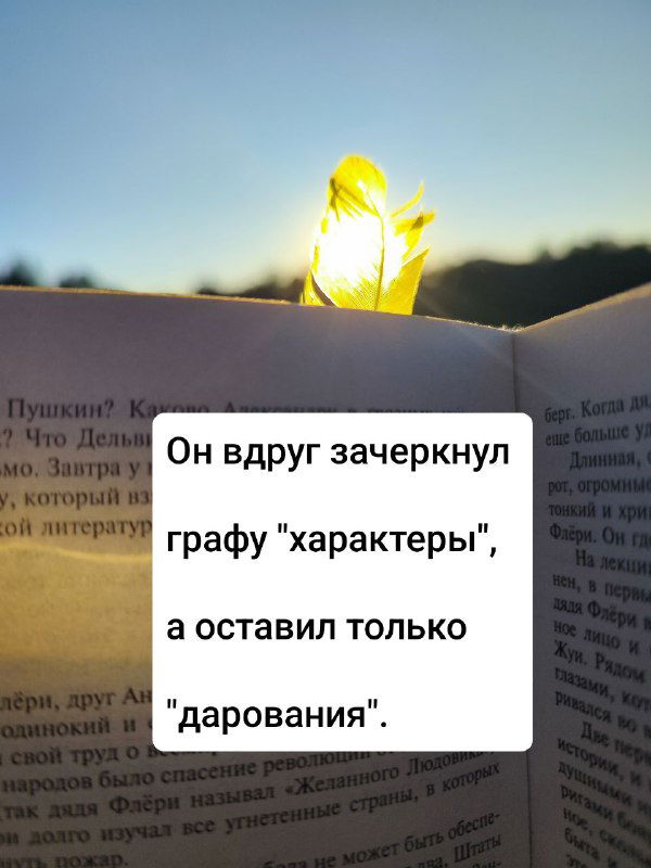 Повторяющийся мотив: открытая книга, в центре светящийся лист, а поверх — текстовые блоки с выдержками, формирующие серию подсказок-образов.