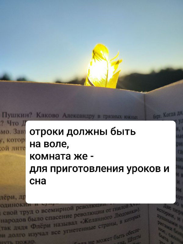 Лист, просвечивающий на фоне неба, и страница с печатным текстом; визуально заметны наклейки с короткими фразами-оракулами поверх книги.