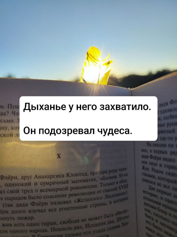 Книга и светящийся лист на фоне неяркого неба; белая вставка с фразой об усилении воображения и ощущений при чтении заметна на переднем плане.