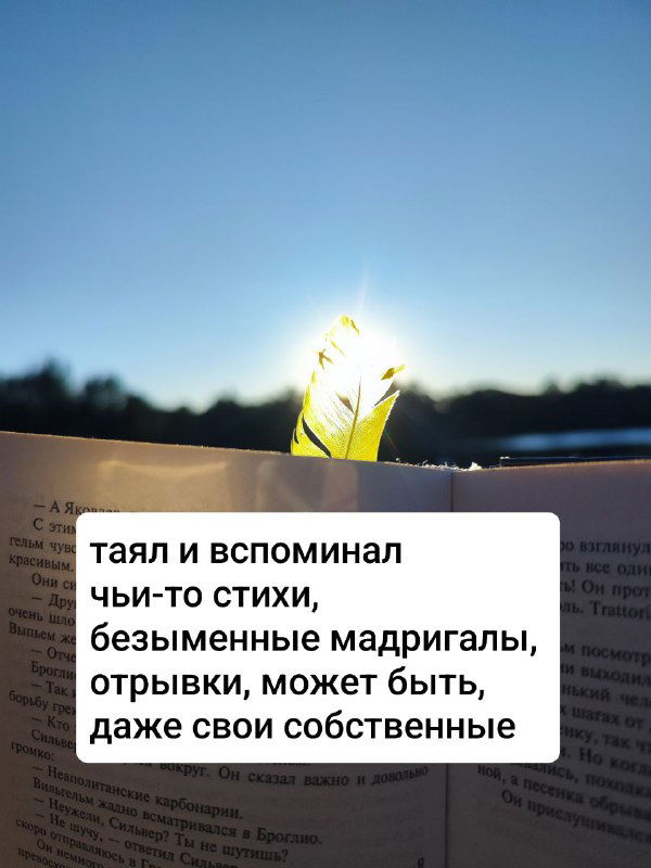 Разворот книги в сумерках, над страницей — светящийся лист; наклеенная рамка с текстом передаёт краткие инсайты и эмоциональный отклик на чтение.