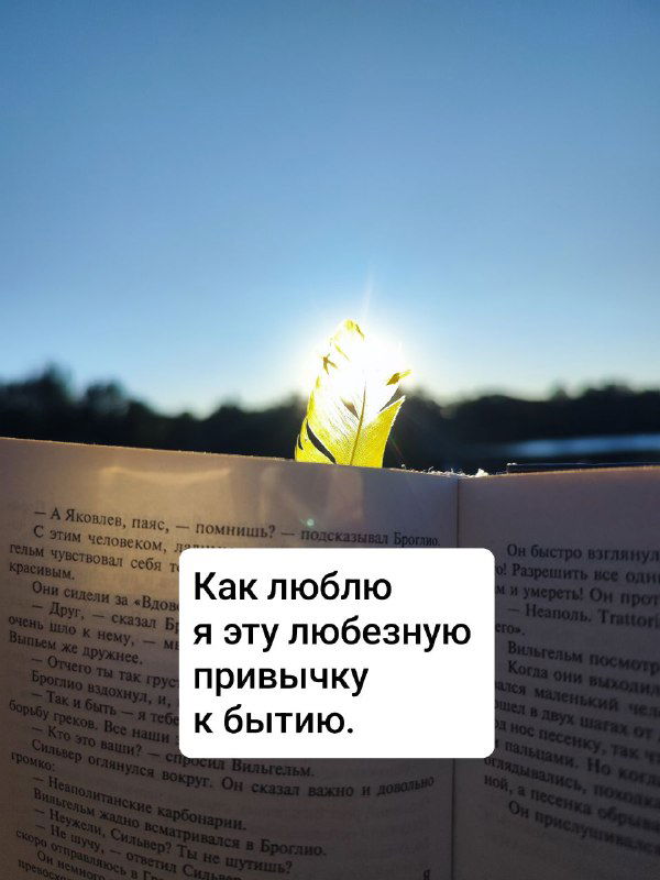 Книга раскрыта, закладка-лист светится на фоне неба; кадр передаёт ощущение близости к природе и чтения на свежем воздухе.