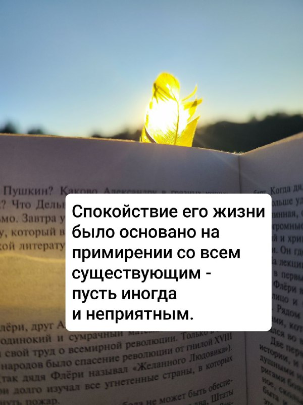 Книга с видимой типографией и яркой закладкой, солнечная дорожка на странице, задний план размытый — вода и темный силуэт деревьев.