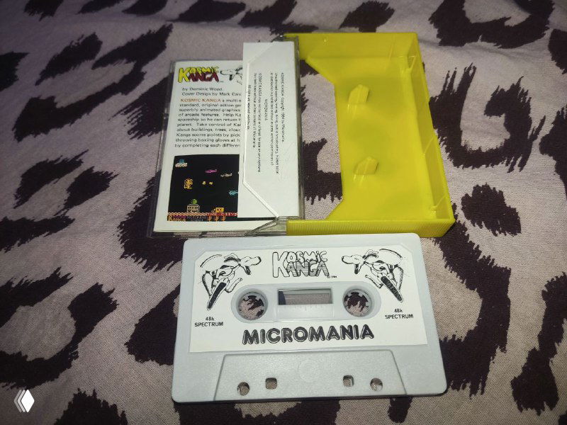 Первая игра — Kosmic Kanga