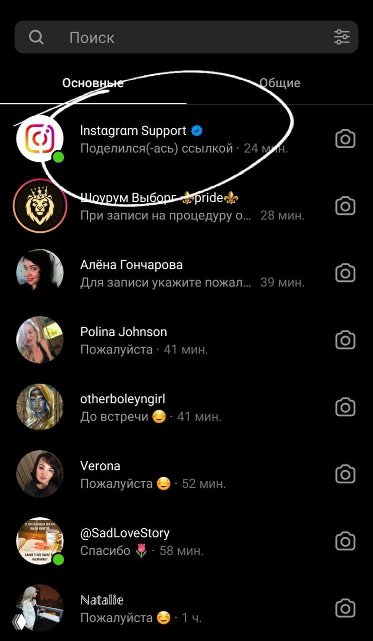 Верифицированные мошенники в Instagram