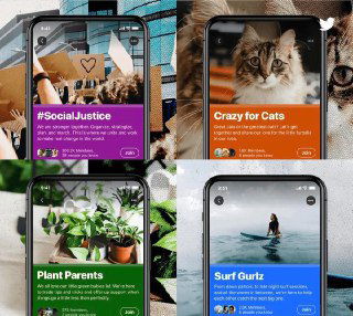 Коллаж экранов мобильного приложения с карточками сообществ Twitter: примеры тем и визуальных превью сообществ для подписчиков