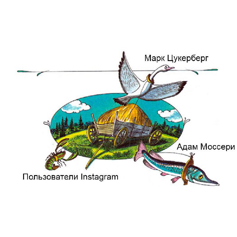 Instagram откладывает полноэкранную ленту — Моссери