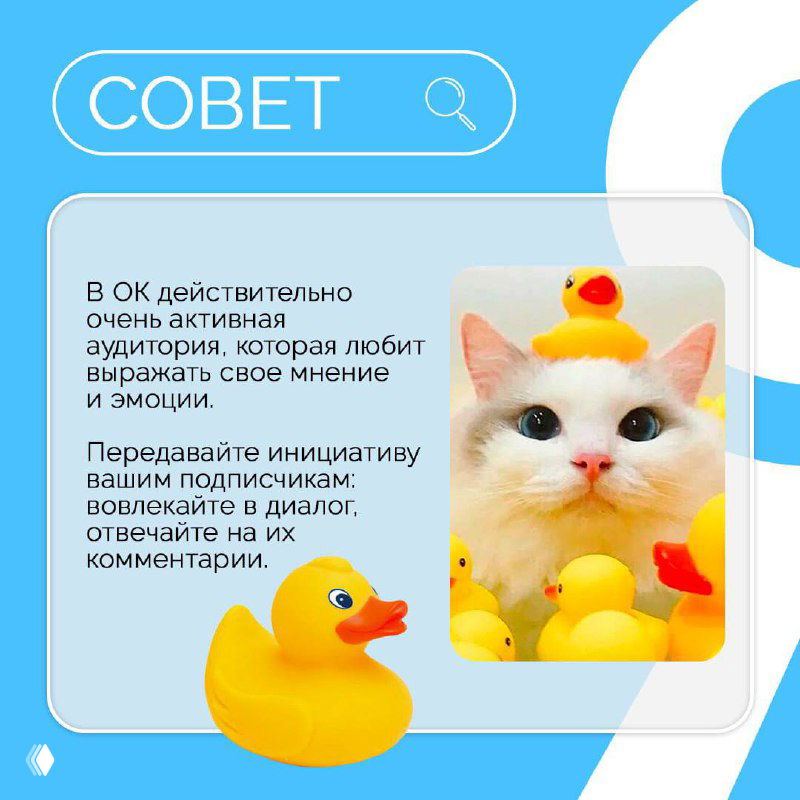 Голубая карточка с изображением кота и резиновой уточки, текст про активную аудиторию Одноклассников и важность диалога с подписчиками.