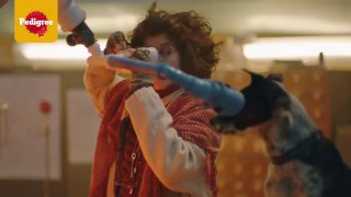 Кадр рекламного ролика Pedigree: динамичная сцена с женщиной и игрушкой/щенком на переднем плане, тёплая цветокоррекция и эмоциональный лайтмотив.