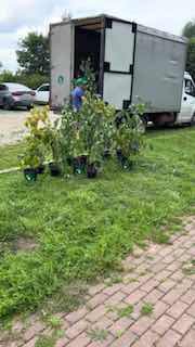 Кадр с грузовиком и развешанными растениями: сцена выгрузки, выглядит как бытовая пометка для имитации естественности в ролике.