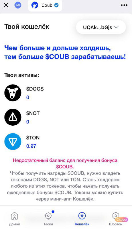 Скриншот кошелька в miniApp Coub: список токенов (SCOUB и др.), адрес кошелька и видимые балансы в интерфейсе приложения внутри Telegram.