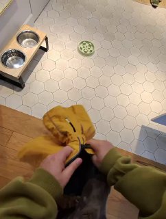 POV-кадр на кухне: руки держат одежду и видно миски для собаки и миску с кормом на фоне плиточного пола.