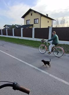 POV-кадр: маленькая собака рядом с велосипедистом на улице, съёмка показывает передний план руля и прогулочный сценарий.