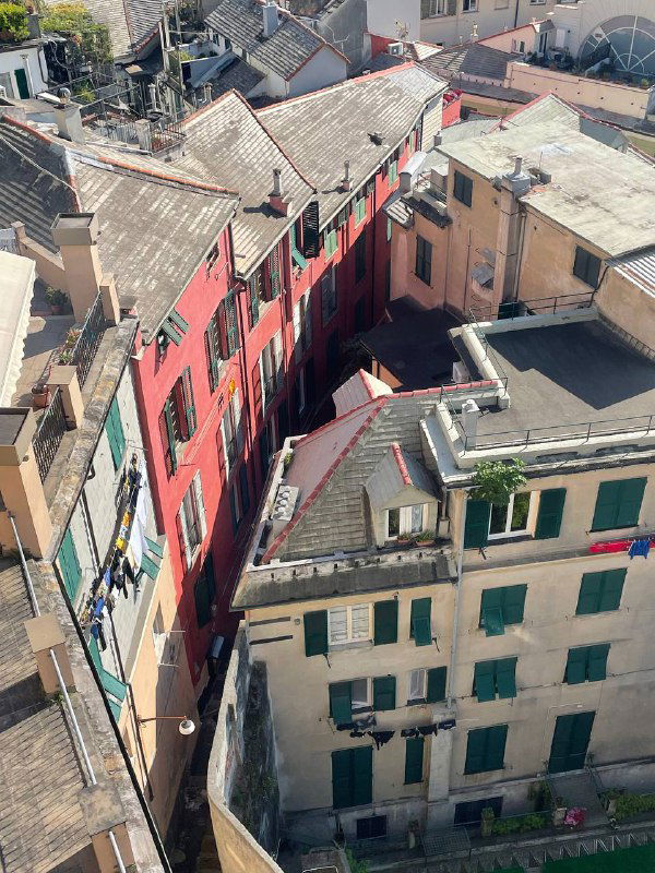 Узкая улочка и плотная застройка цветных домов Генуи, снятые сверху: фасады, балконы и извилистая городская структура.