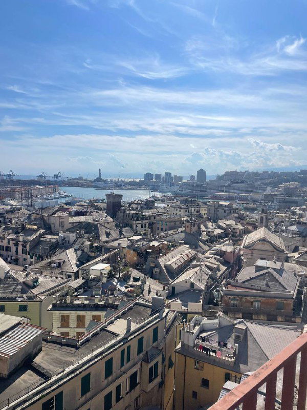 Панорамный вид на крыши Генуи и морской горизонт: плотная старая застройка, порт и линия горизонта под светлым небом.