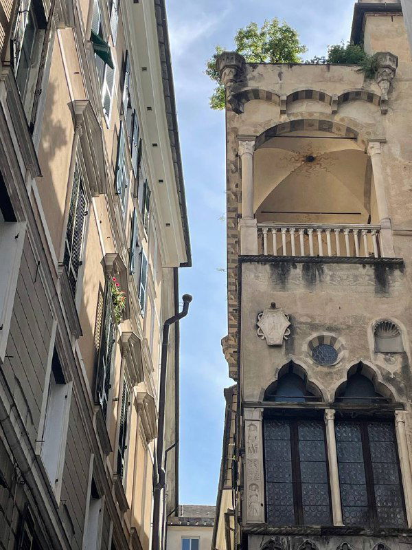 Узкая улица Генуи с высокими домами и балконами: типичная средиземноморская застройка и узкий городской просвет неба.