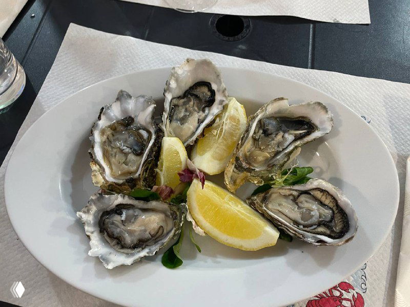 Тарелка со свежими устрицами и дольками лимона на белом блюде — классическая морская закуска в прибрежном ресторане Генуи.