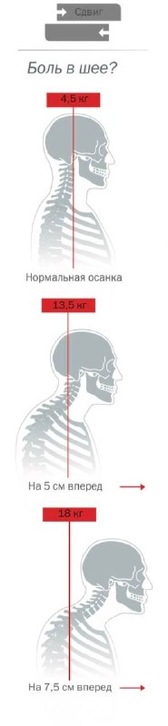 Графика показывающая, как смещение головы вперёд увеличивает нагрузку на шейный отдел: расчёт силы по смещению головы на сантиметры.