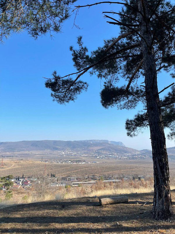 Вид с сосновой поляны на весенний пейзаж: холмы и деревенька под ясным голубым небом, передний план с силуэтом сосны.