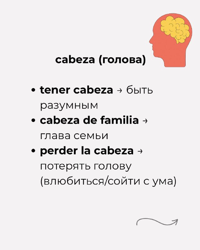 Слайд «cabeza (голова)» с примерами tener cabeza, cabeza de familia, perder la cabeza и краткими переводами на русский.