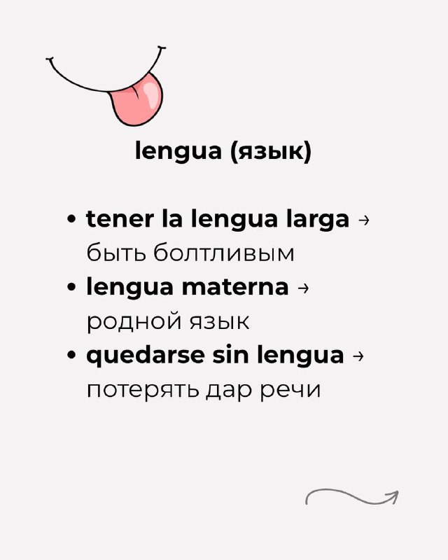Слайд «lengua (язык)» с примерами tener la lengua larga, lengua materna, quedarse sin lengua — с пояснениями и милой иллюстрацией.