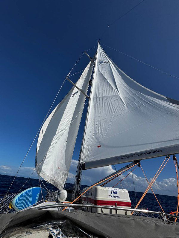 Кокпит и паруса в море: белые поднятые паруса, палуба яхты и открытый океан под ясным голубым небом во время дневного перехода.