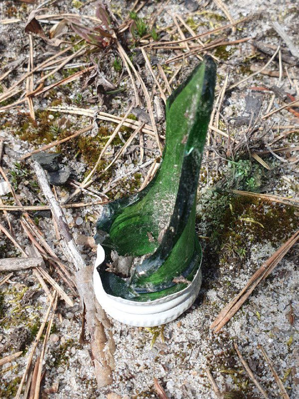 Трейл в шоссейных кроссовках и наоборот?