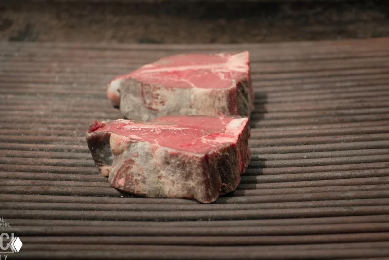 Два больших сырых стейка породы Chianina на решётке перед жаркой, крупный план на текстуру мяса и мраморность перед приготовлением.