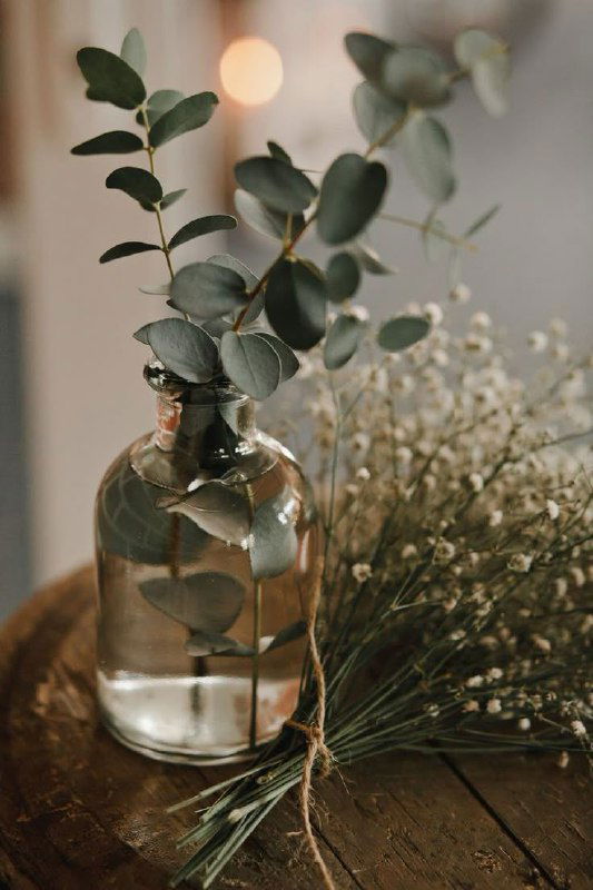 Шесть вещей, за которые я обожаю убтаны