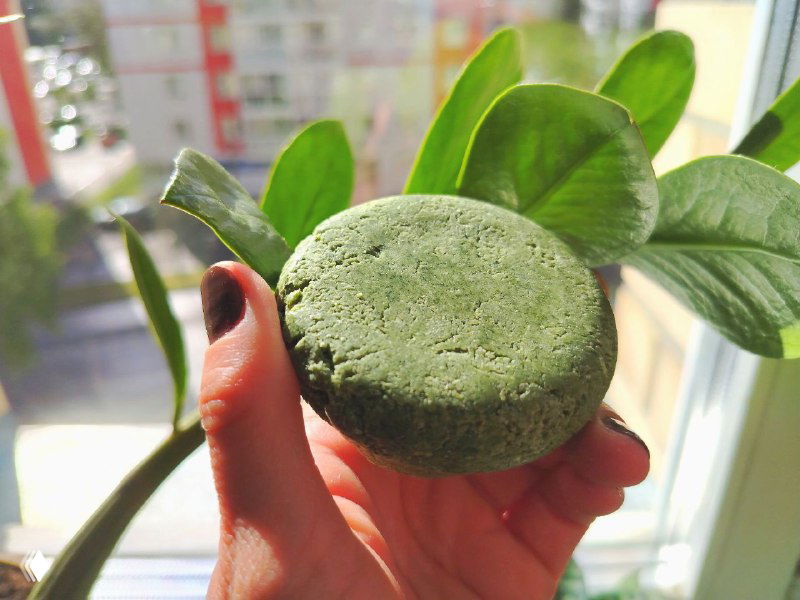 Ручной зелёный твёрдый шампунь круглой формы в ладони на фоне окна и зелёных листьев, демонстрируется размер, цвет и текстура продукта.