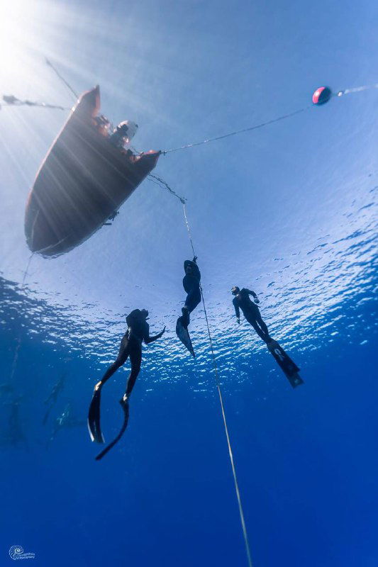 Подводный кадр: несколько фридайверов у буйка и лодки, силуэты ныряльщиков в синей воде, вид снизу на поверхность и привязной буй.