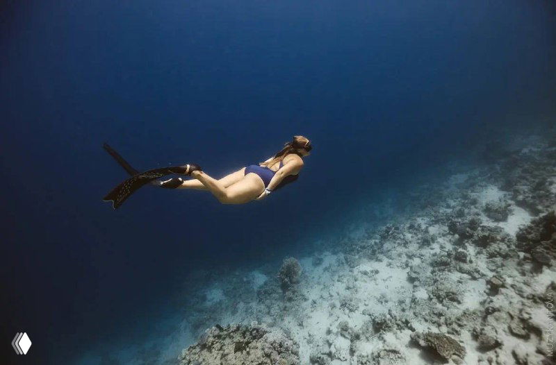 Слово 1. Фридайвинг — словарь фридайвера