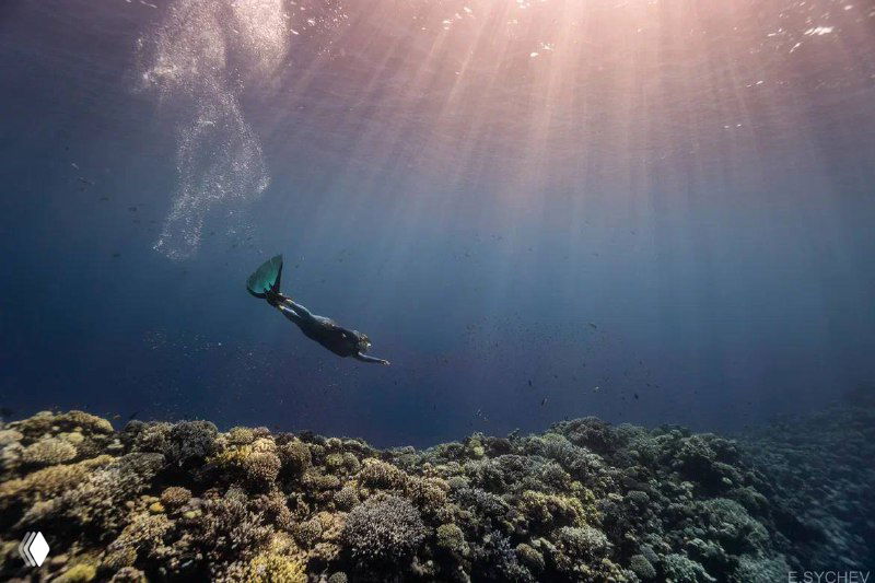 Слово 4. Самба