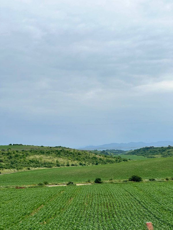 Я в Кабардино‑Балкарии: организую чемпионат России