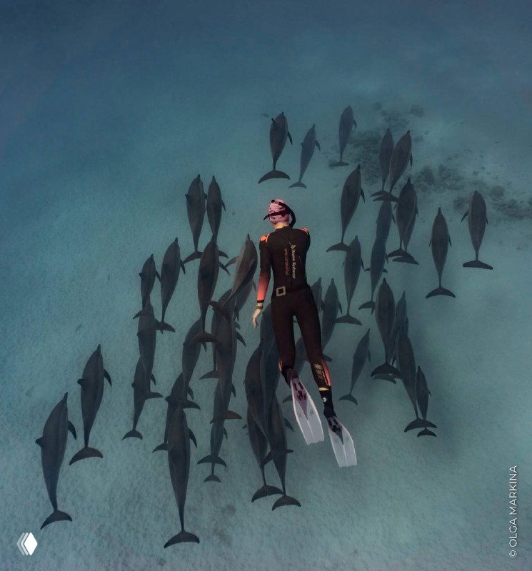 🍁Дайджест классных фридайв-событий этой осени