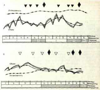 Тренировочные циклы и волнообразная нагрузка